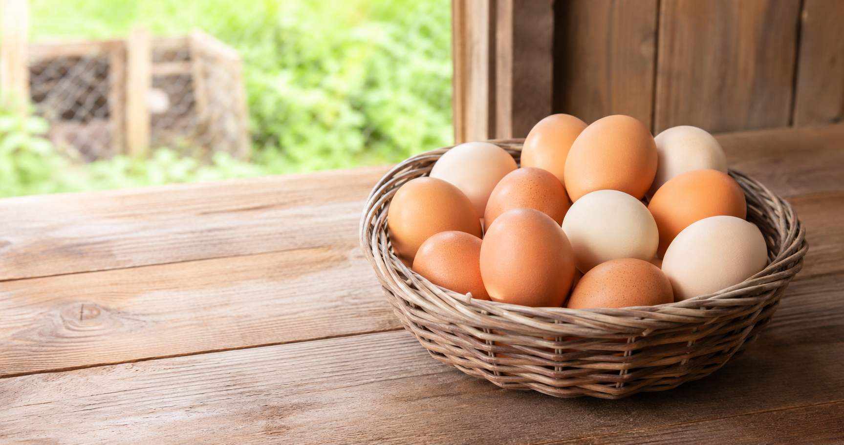 Chicken Eggs
